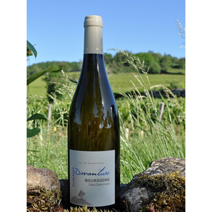RAUÐVÍN / DOMAINE DAVANTURE AOC Bourgogne Cöte Chalonnaise 2024 75cl