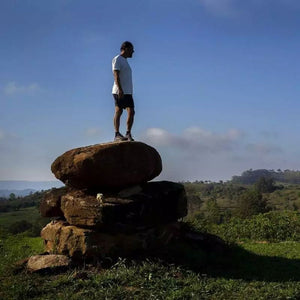 TERRES DE CAFÉ Coffee Organic Capsules Brazil x10