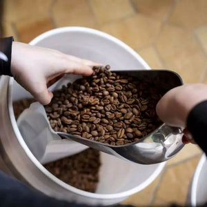 TERRES DE CAFÉ Coffee Organic Expresso 250g