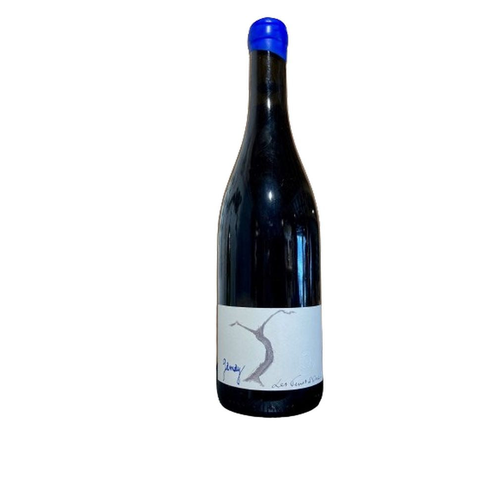 RAUÐVÍN / DOMAINE TERRES D'OCRE Vin de France Amphore Gamay 2022 75cl