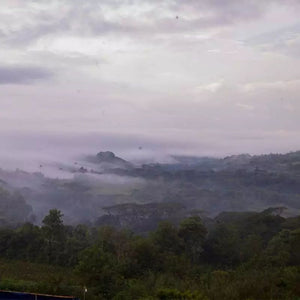 TERRES DE CAFÉ Coffee Organic Capsules Ethiopia Yeti Village x10